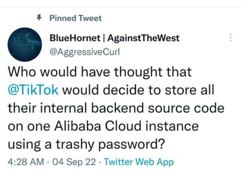 Hacker Taunts TikTok After Stealing Over 2 Billion Records in a Massive