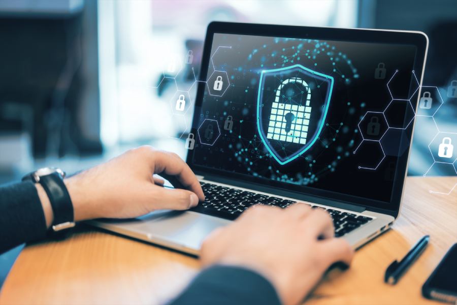 Detecting Privacy Vulnerabilities